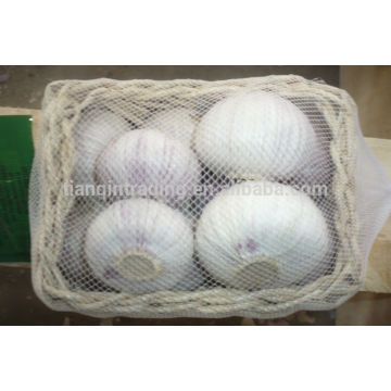 Ail Solo, Jinxiang ail prix 10 kg / sac en filet ou10 kg / carton